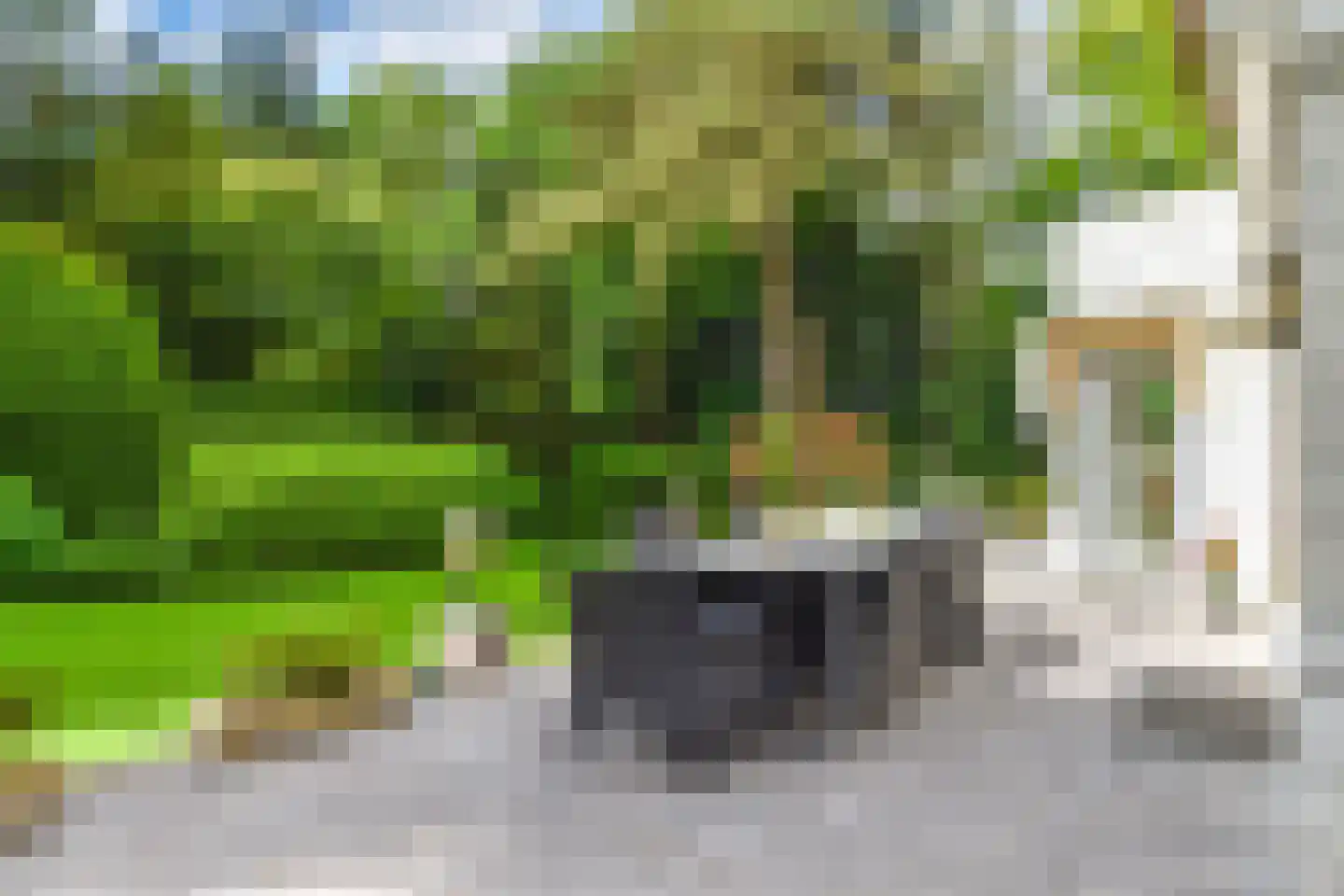 Derkinderenlaan 25 Laren thumbnail 62
