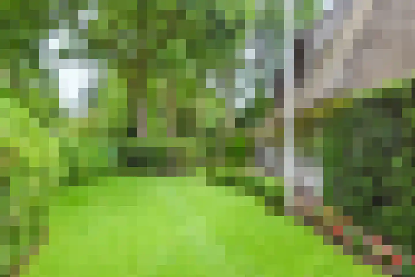 Derkinderenlaan 25 Laren thumbnail 66
