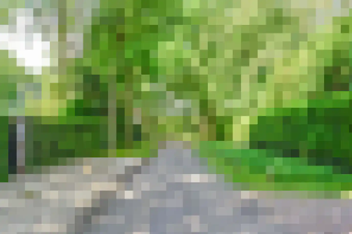 Derkinderenlaan 25 Laren thumbnail 67