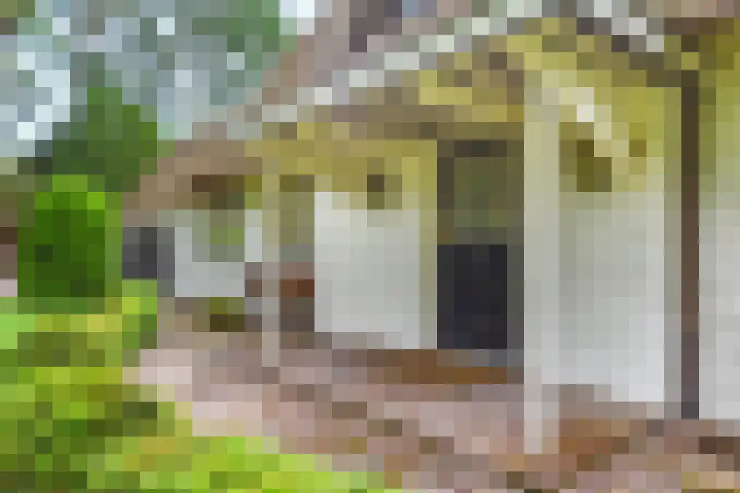 Derkinderenlaan 25 Laren thumbnail 9