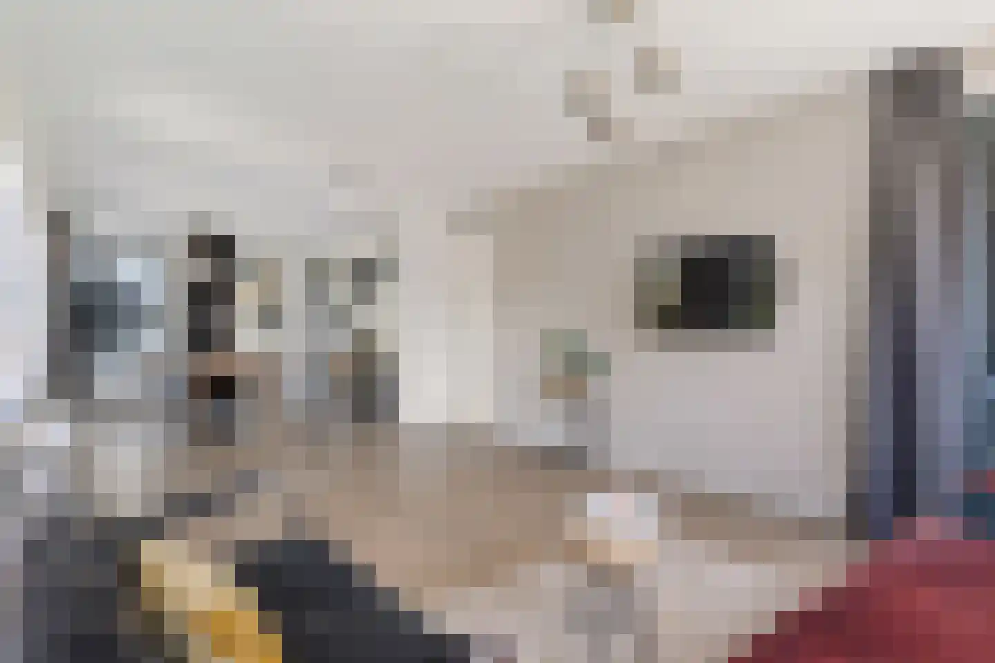 Derkinderenstraat 122 Amsterdam thumbnail 24
