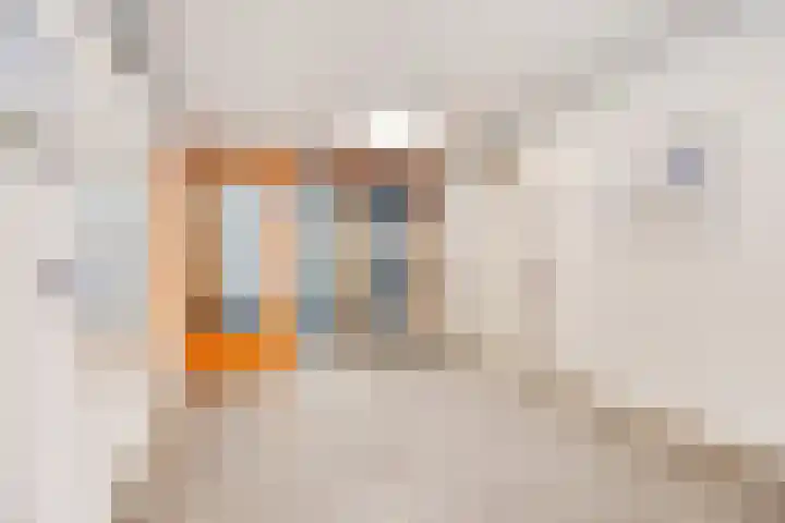 Derkinderenstraat 138 Amsterdam thumbnail 6