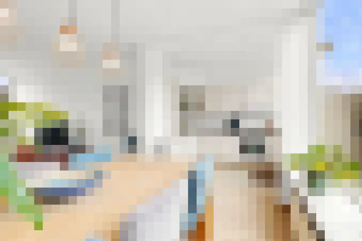 Derkinderenstraat 14 Woerden thumbnail 18