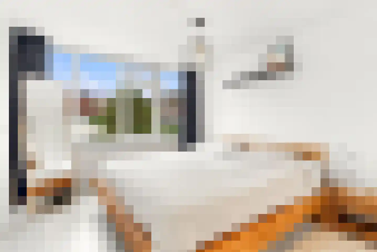 Derkinderenstraat 14 Woerden thumbnail 7