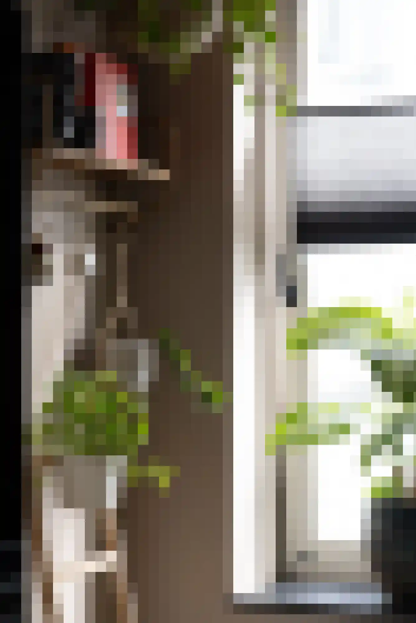 Derkinderenstraat 156 Amsterdam thumbnail 16