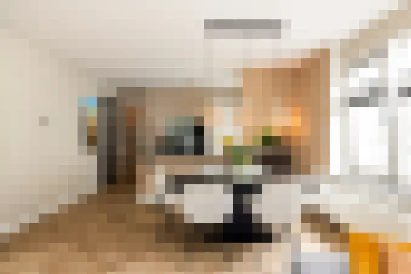 Derkinderenstraat 156 Amsterdam thumbnail 18