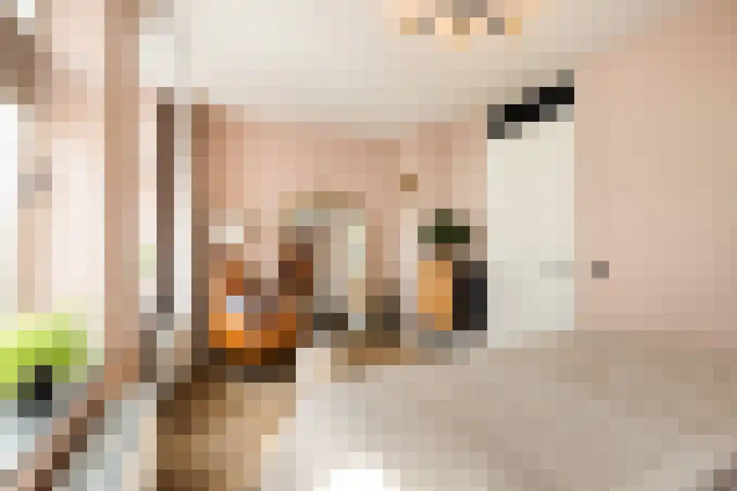 Derkinderenstraat 156 Amsterdam thumbnail 25