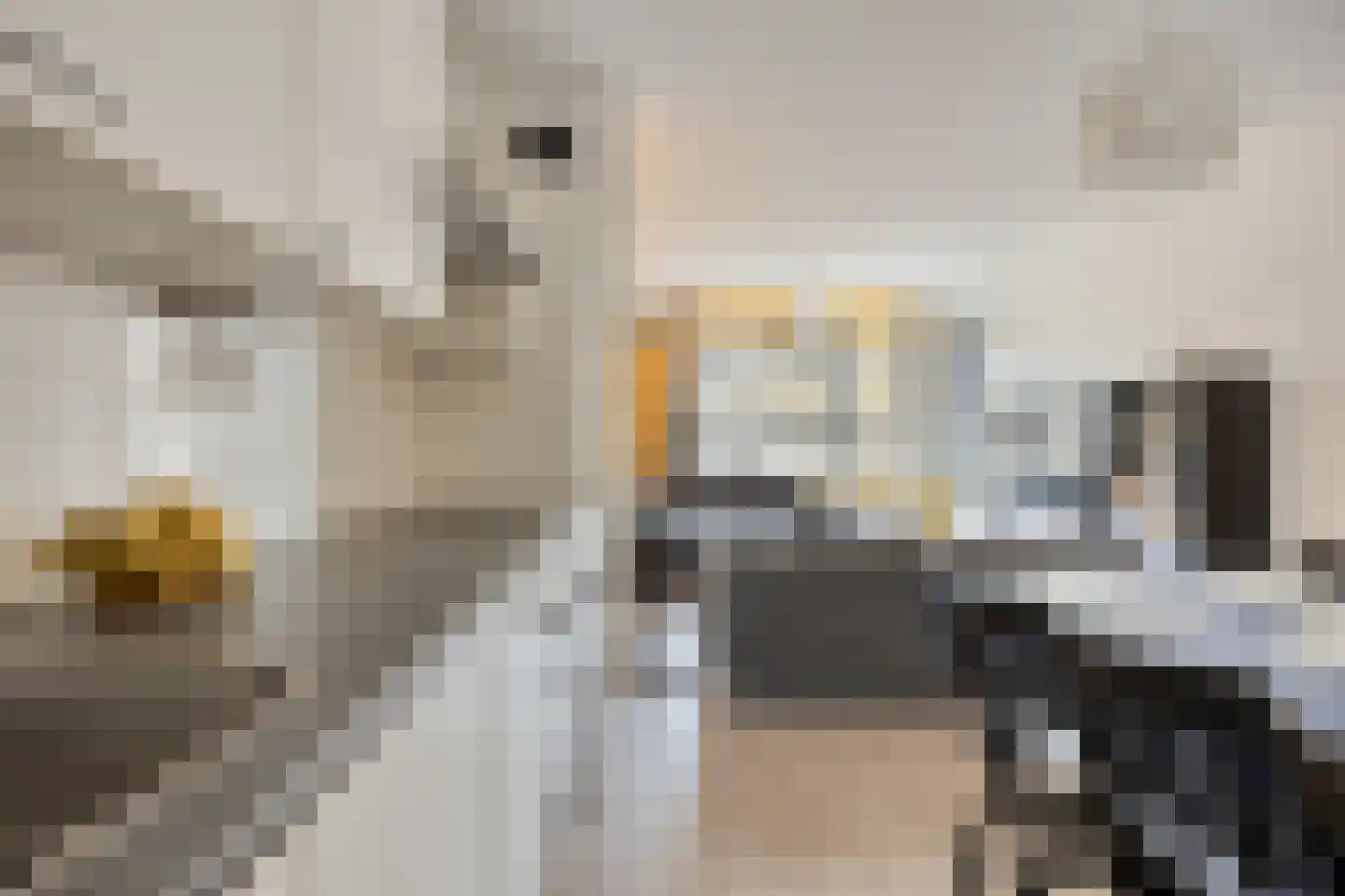 Derkinderenstraat 160 Amsterdam thumbnail 8