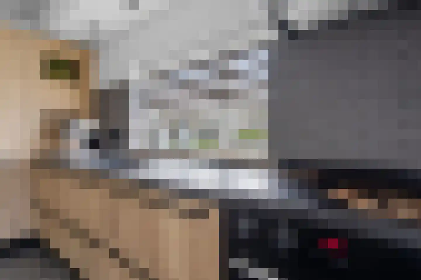 Derksweg 139 Klazienaveen thumbnail 12