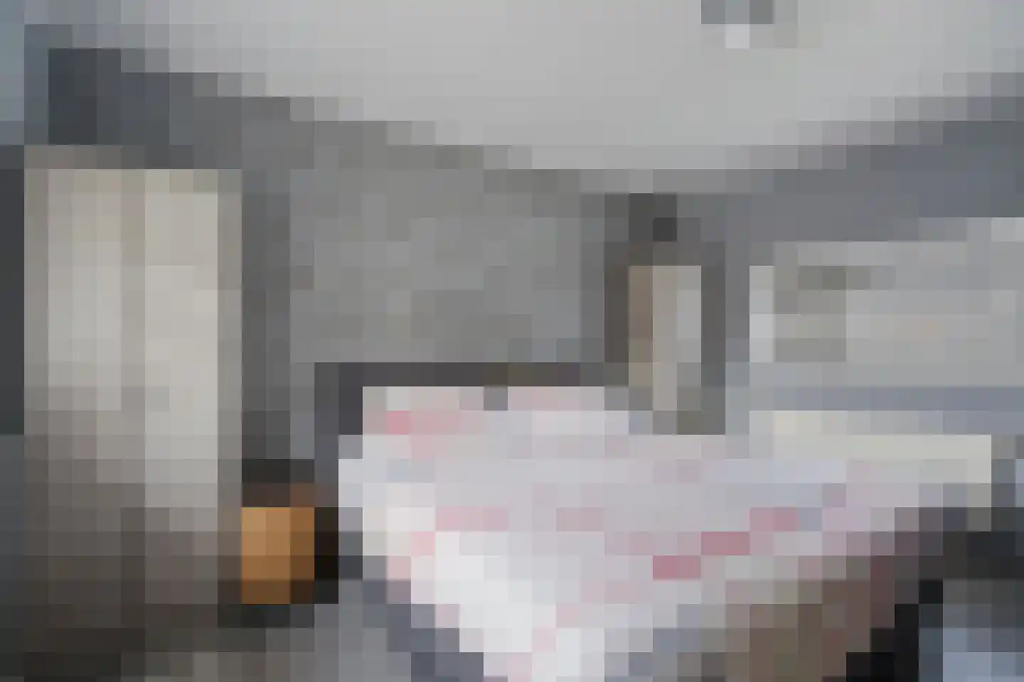 Derksweg 139 Klazienaveen thumbnail 17