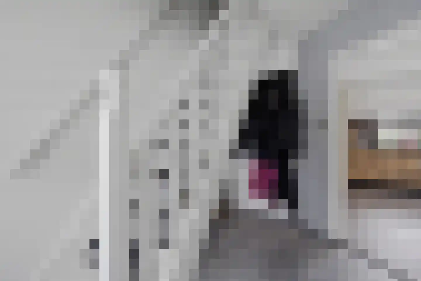 Derksweg 139 Klazienaveen thumbnail 21