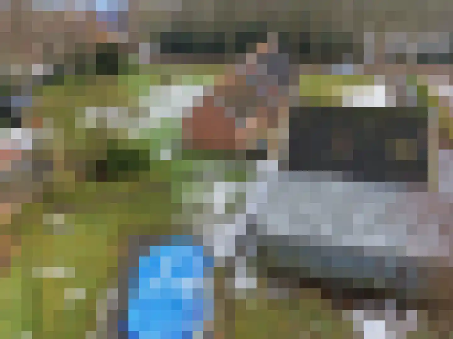 Derksweg 139 Klazienaveen thumbnail 40