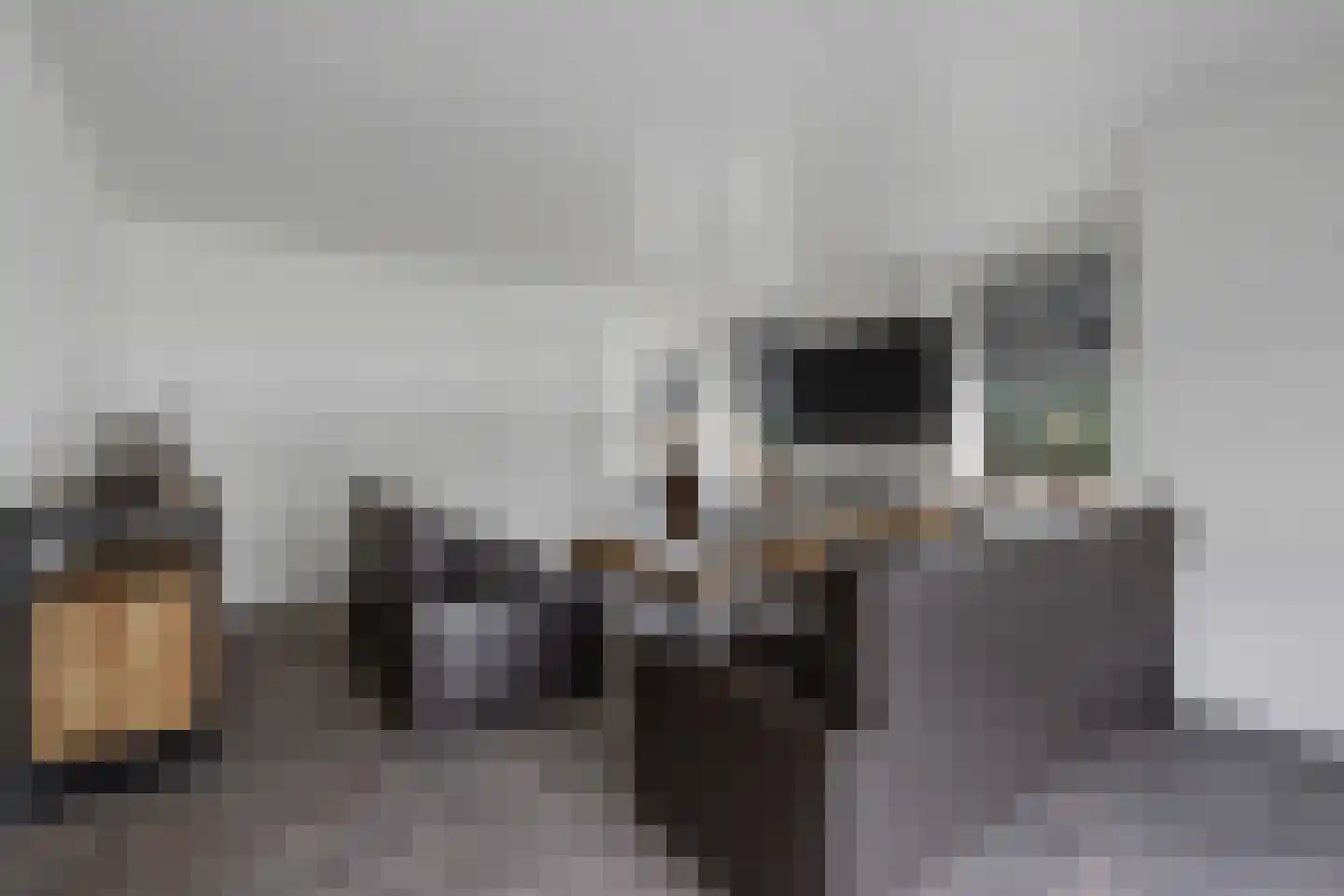 Derksweg 139 Klazienaveen thumbnail 5