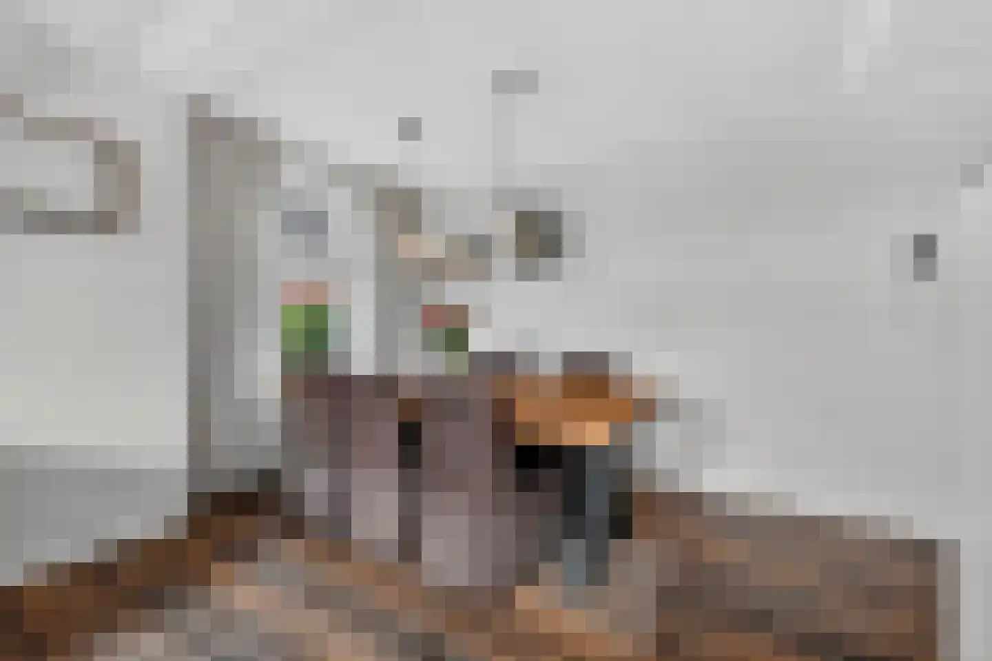 Derksweg 229 Klazienaveen thumbnail 10
