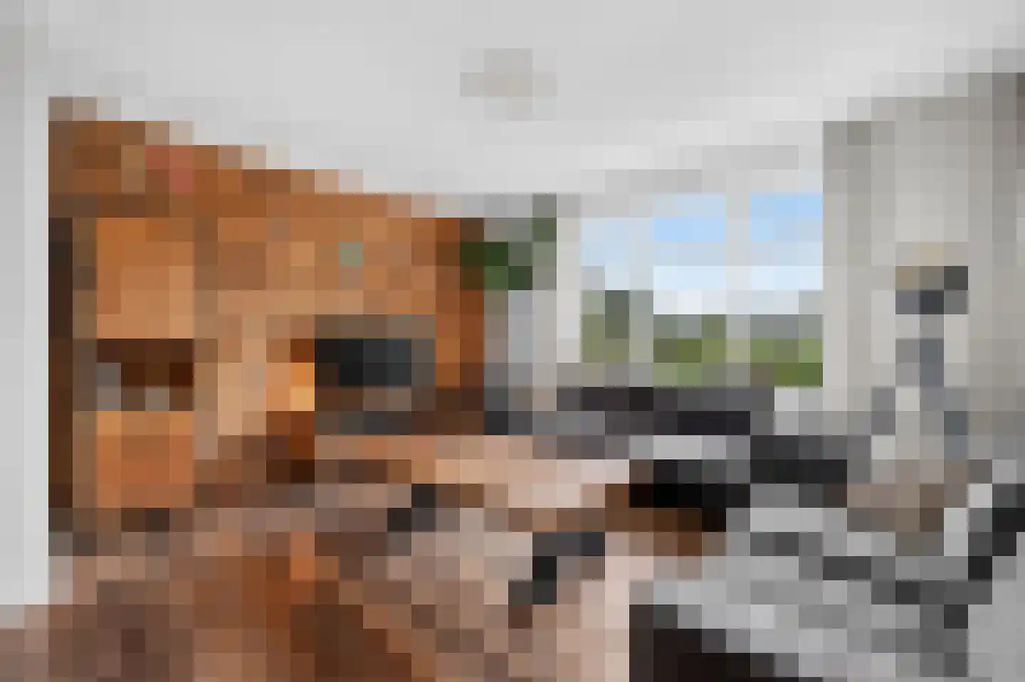 Derksweg 229 Klazienaveen thumbnail 13