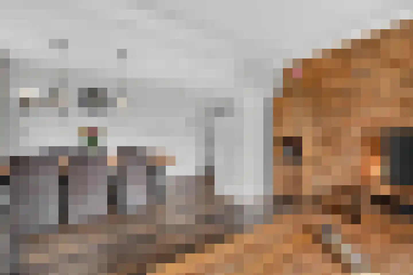Derksweg 229 Klazienaveen thumbnail 14