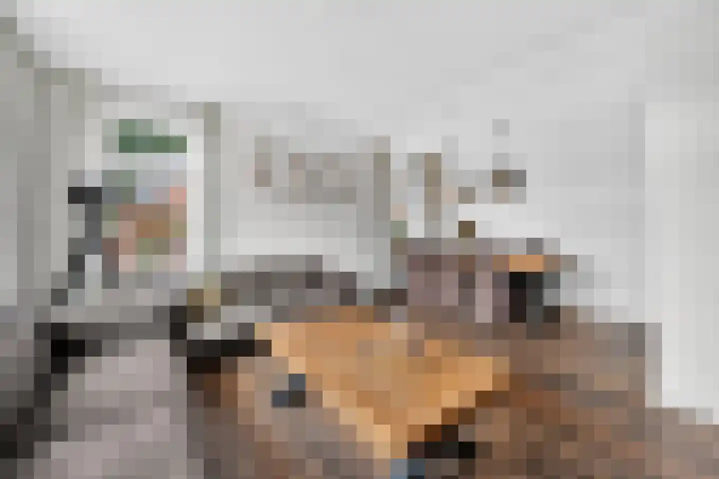 Derksweg 229 Klazienaveen thumbnail 15