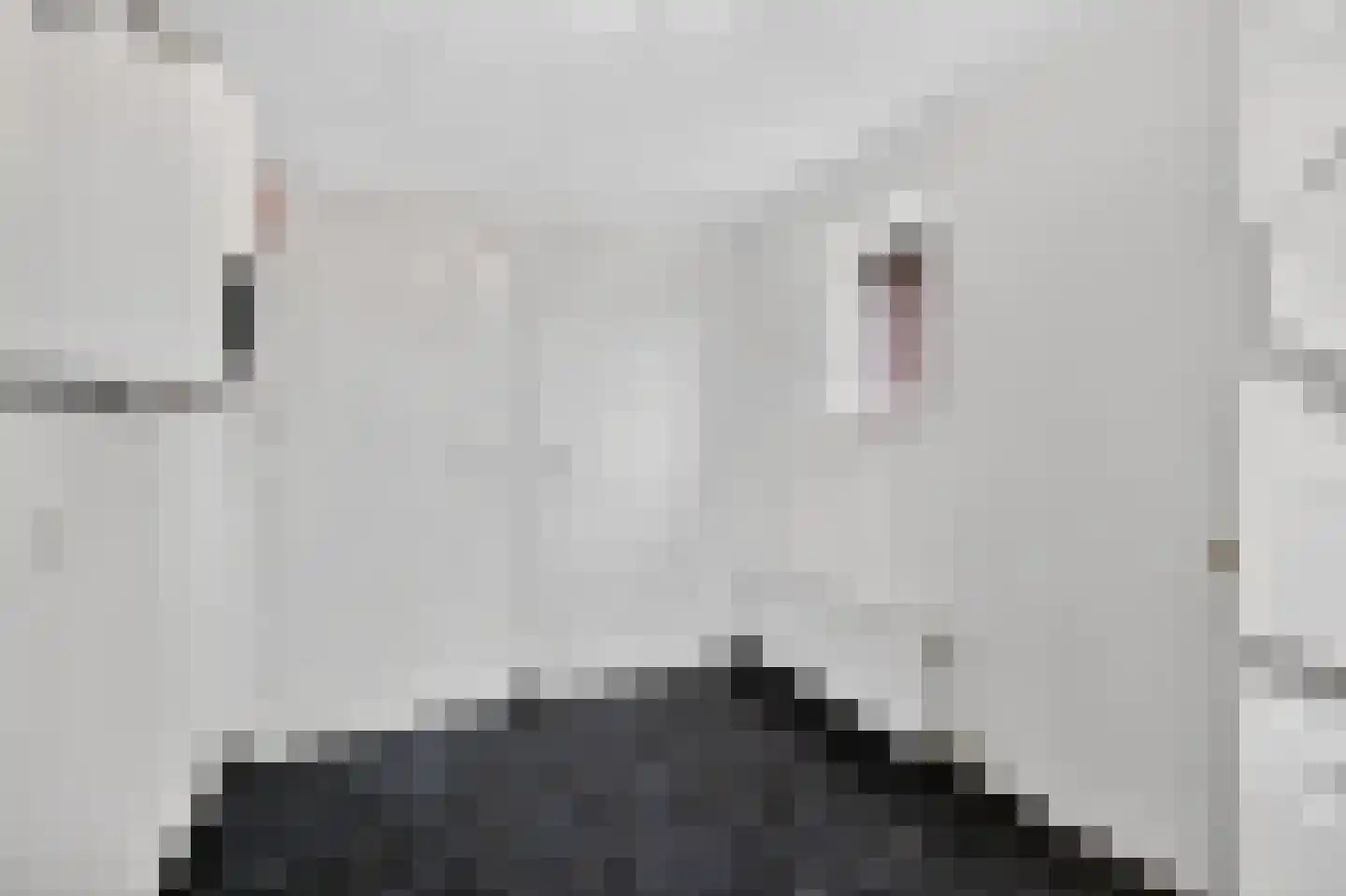 Derksweg 229 Klazienaveen thumbnail 16