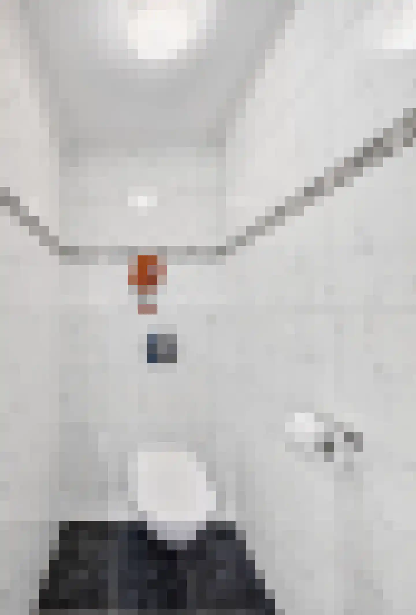 Derksweg 229 Klazienaveen thumbnail 22