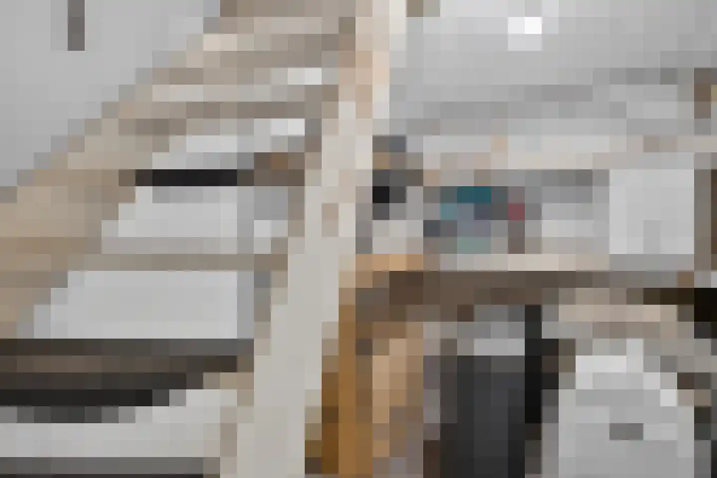 Derksweg 229 Klazienaveen thumbnail 23
