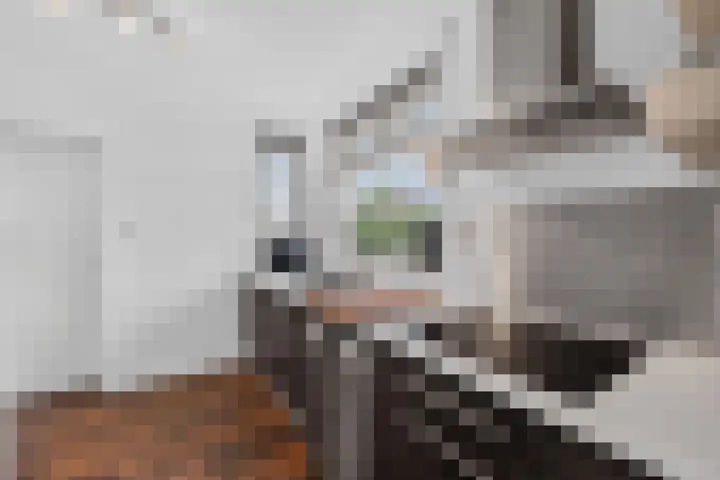 Derksweg 229 Klazienaveen thumbnail 5