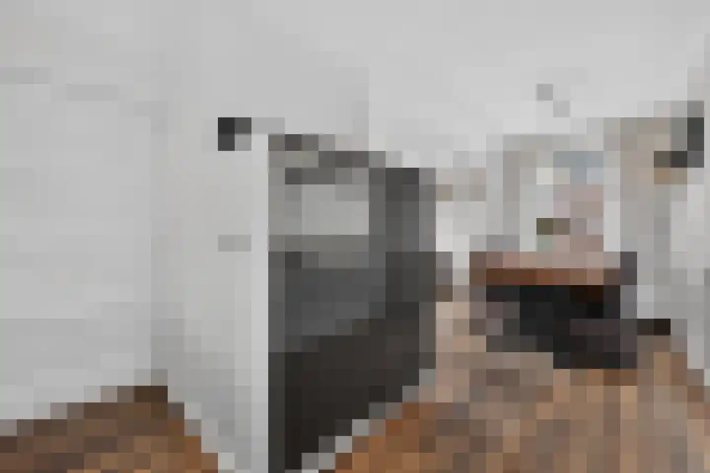 Derksweg 229 Klazienaveen thumbnail 8