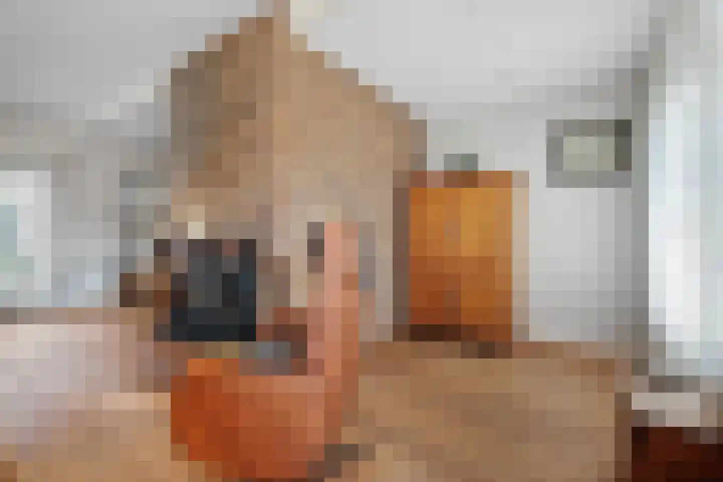 Derksweg 251 Klazienaveen thumbnail 10