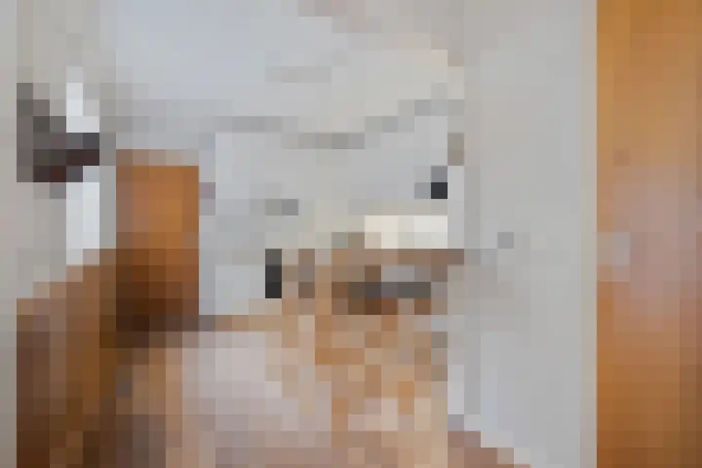 Derksweg 251 Klazienaveen thumbnail 12