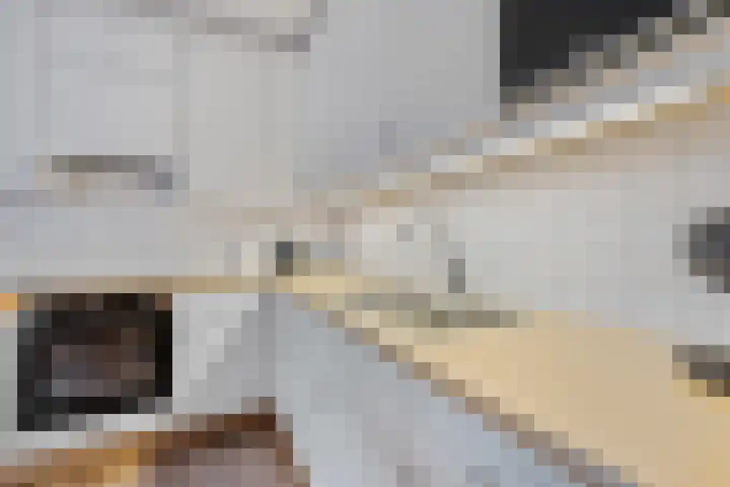 Derksweg 251 Klazienaveen thumbnail 14