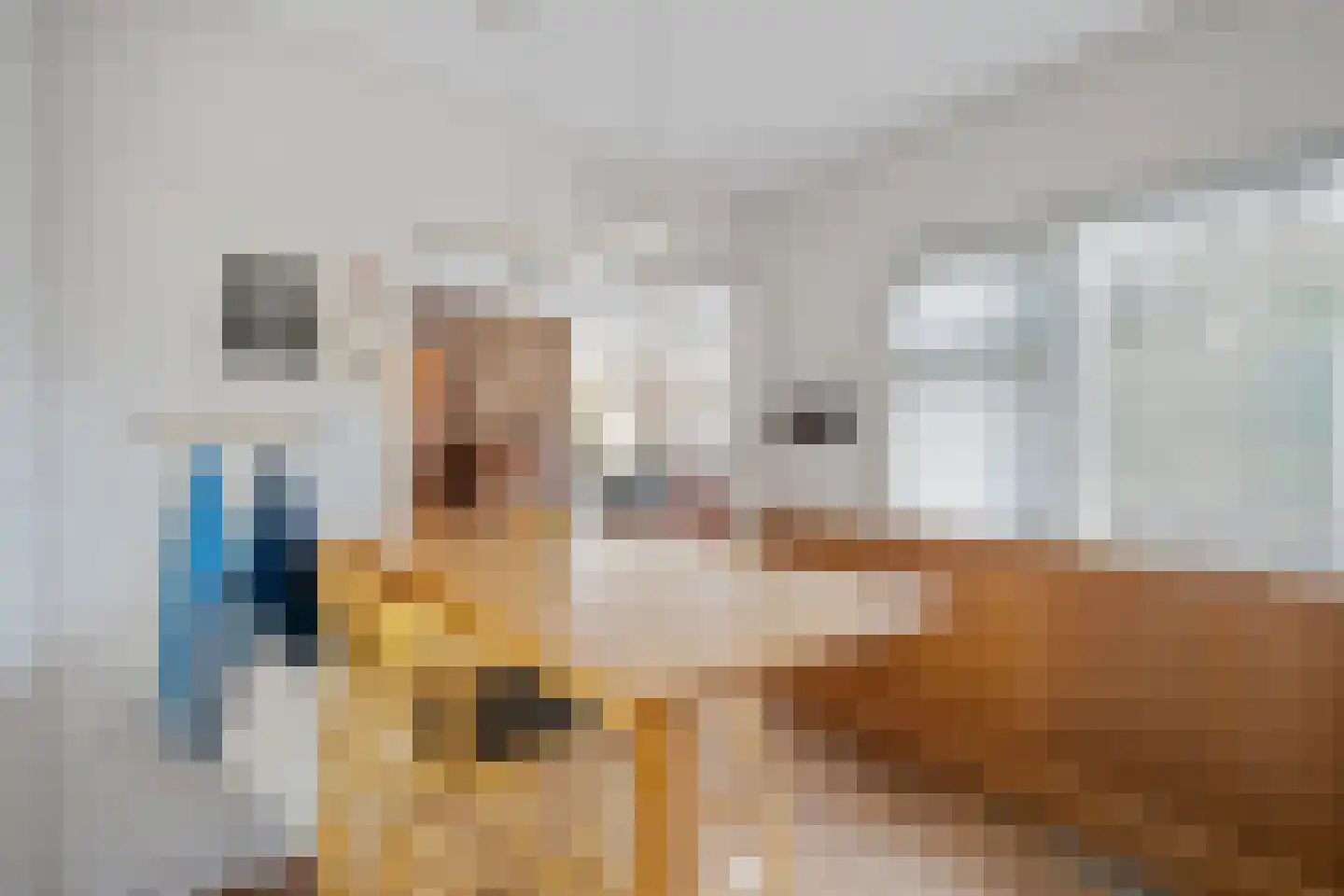 Derksweg 251 Klazienaveen thumbnail 15