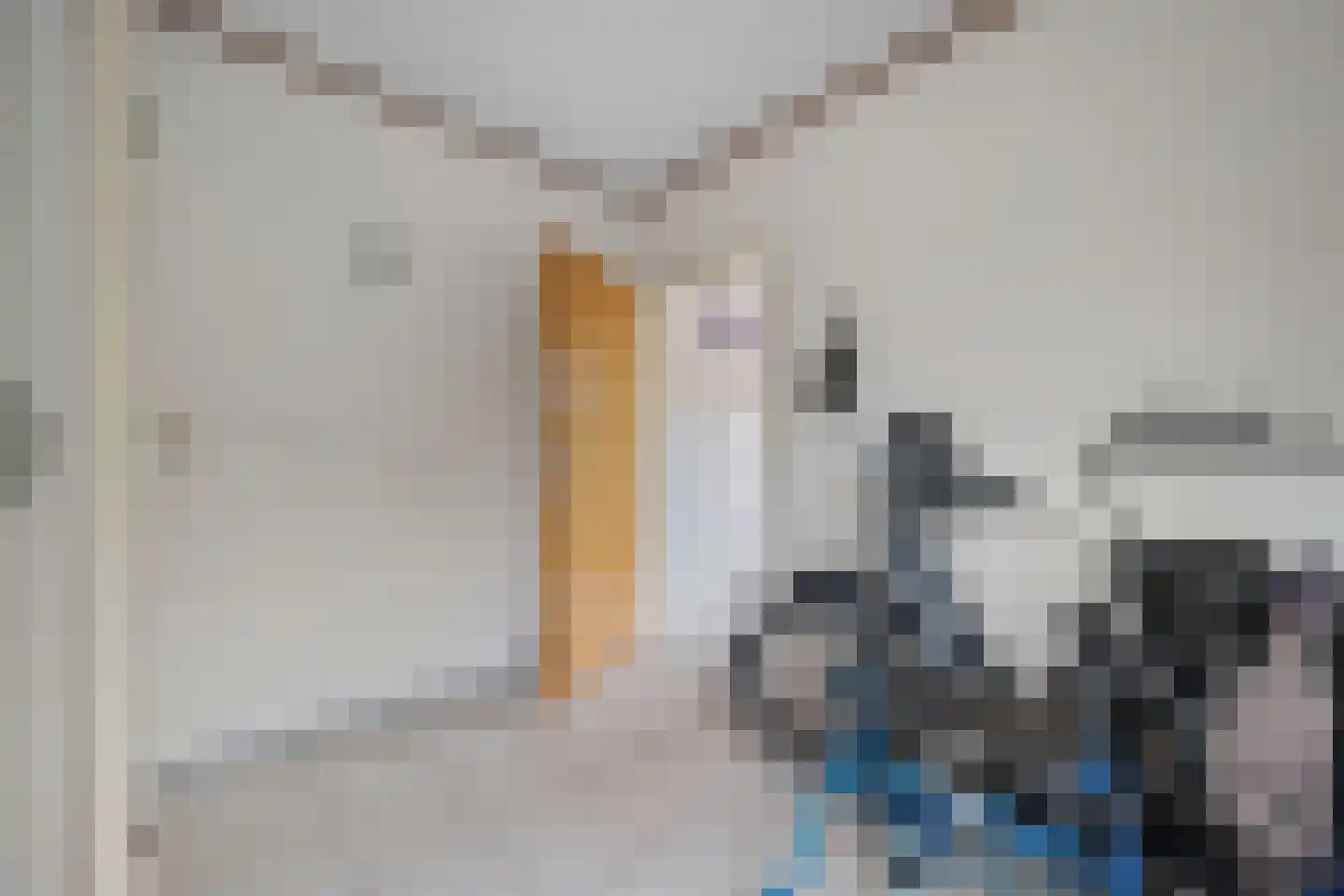 Derksweg 251 Klazienaveen thumbnail 16