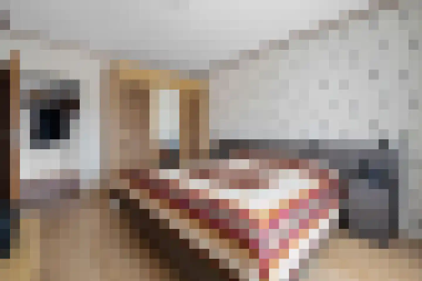 Derksweg 251 Klazienaveen thumbnail 18