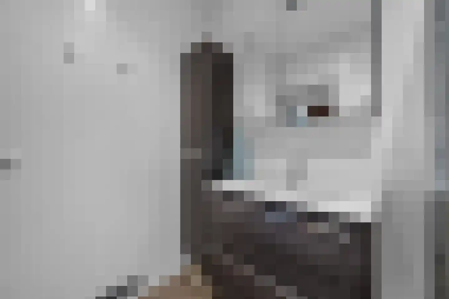 Derksweg 251 Klazienaveen thumbnail 20