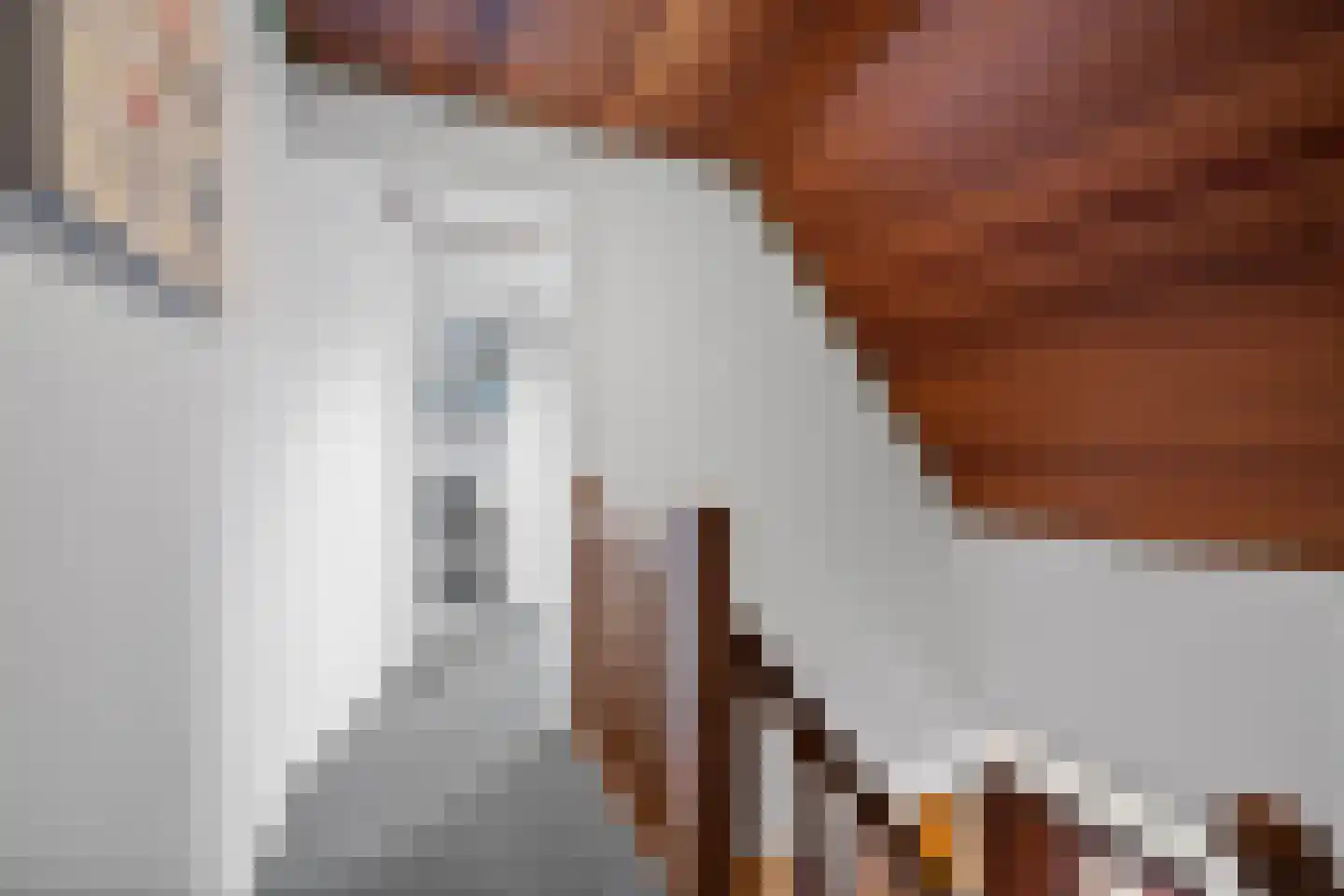 Derksweg 251 Klazienaveen thumbnail 22