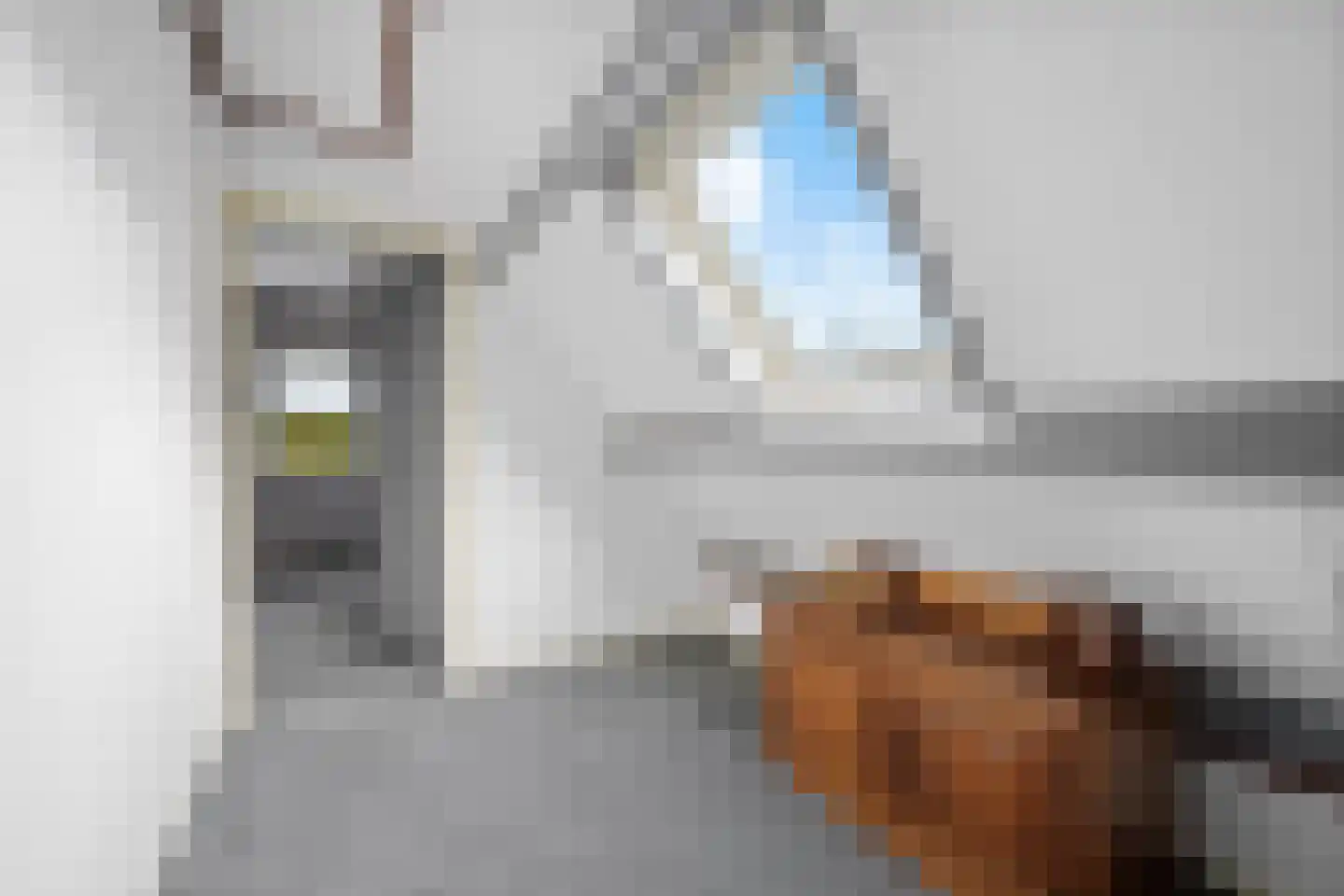 Derksweg 251 Klazienaveen thumbnail 23