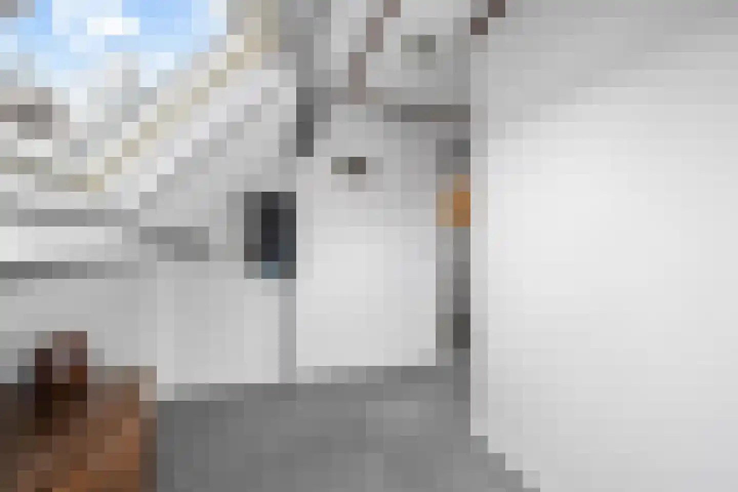 Derksweg 251 Klazienaveen thumbnail 24