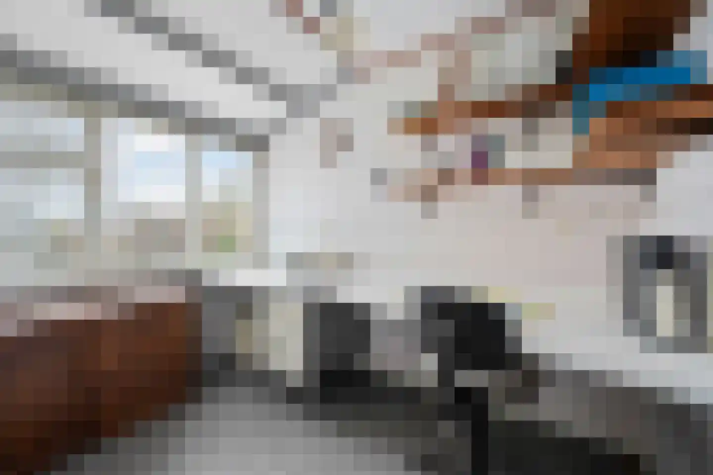 Derksweg 251 Klazienaveen thumbnail 30