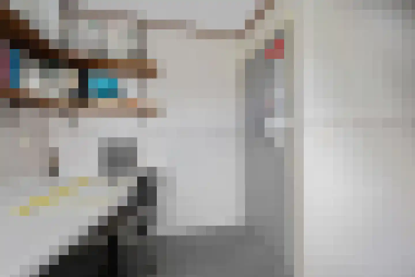 Derksweg 251 Klazienaveen thumbnail 31