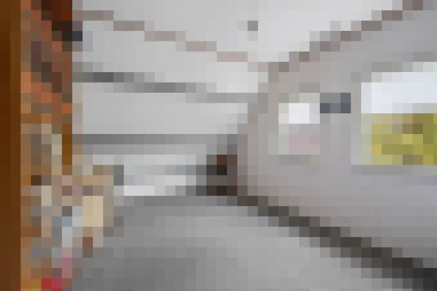 Derksweg 251 Klazienaveen thumbnail 32