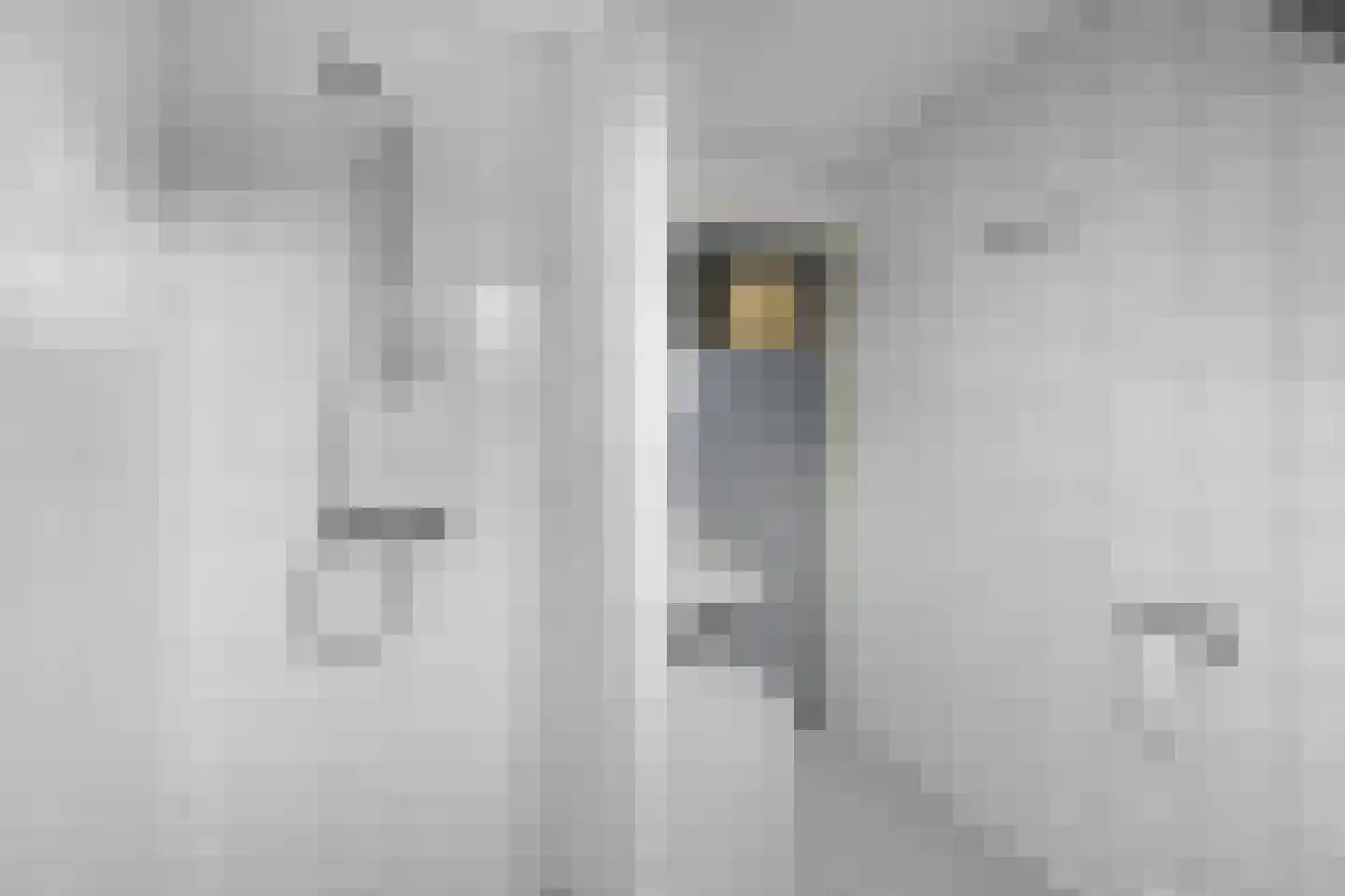 Derksweg 251 Klazienaveen thumbnail 35