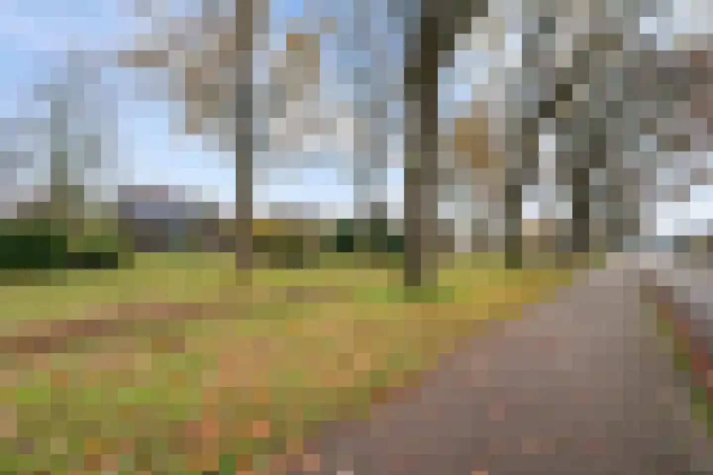 Derksweg 251 Klazienaveen thumbnail 37