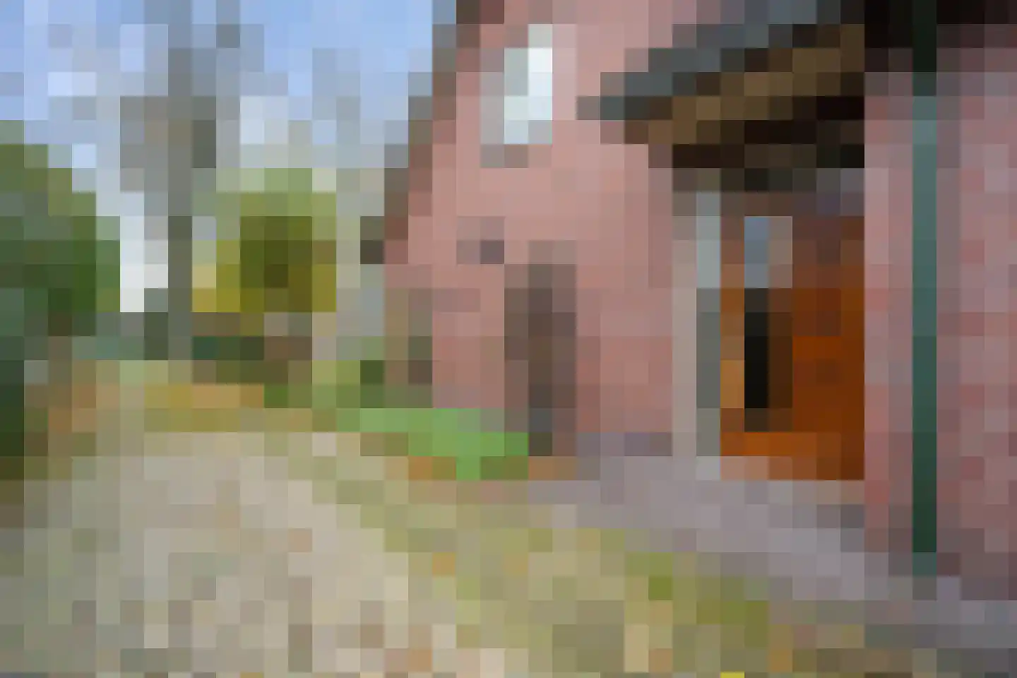Derksweg 251 Klazienaveen thumbnail 39