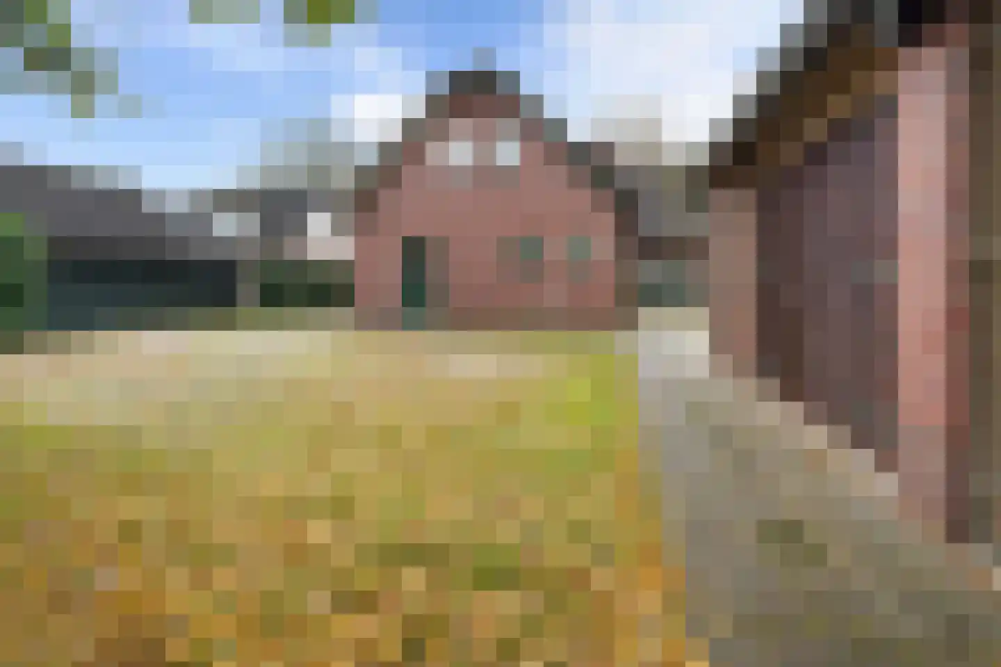 Derksweg 251 Klazienaveen thumbnail 43