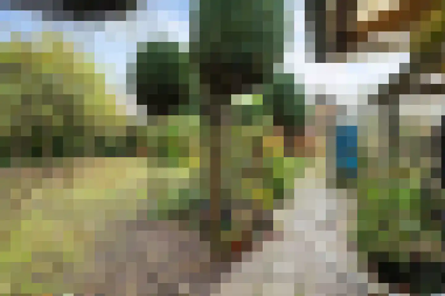 Derksweg 251 Klazienaveen thumbnail 46
