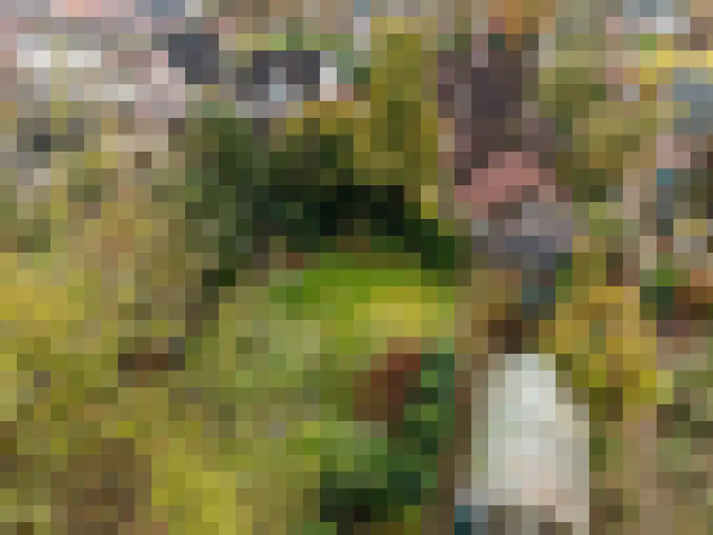 Derksweg 251 Klazienaveen thumbnail 47