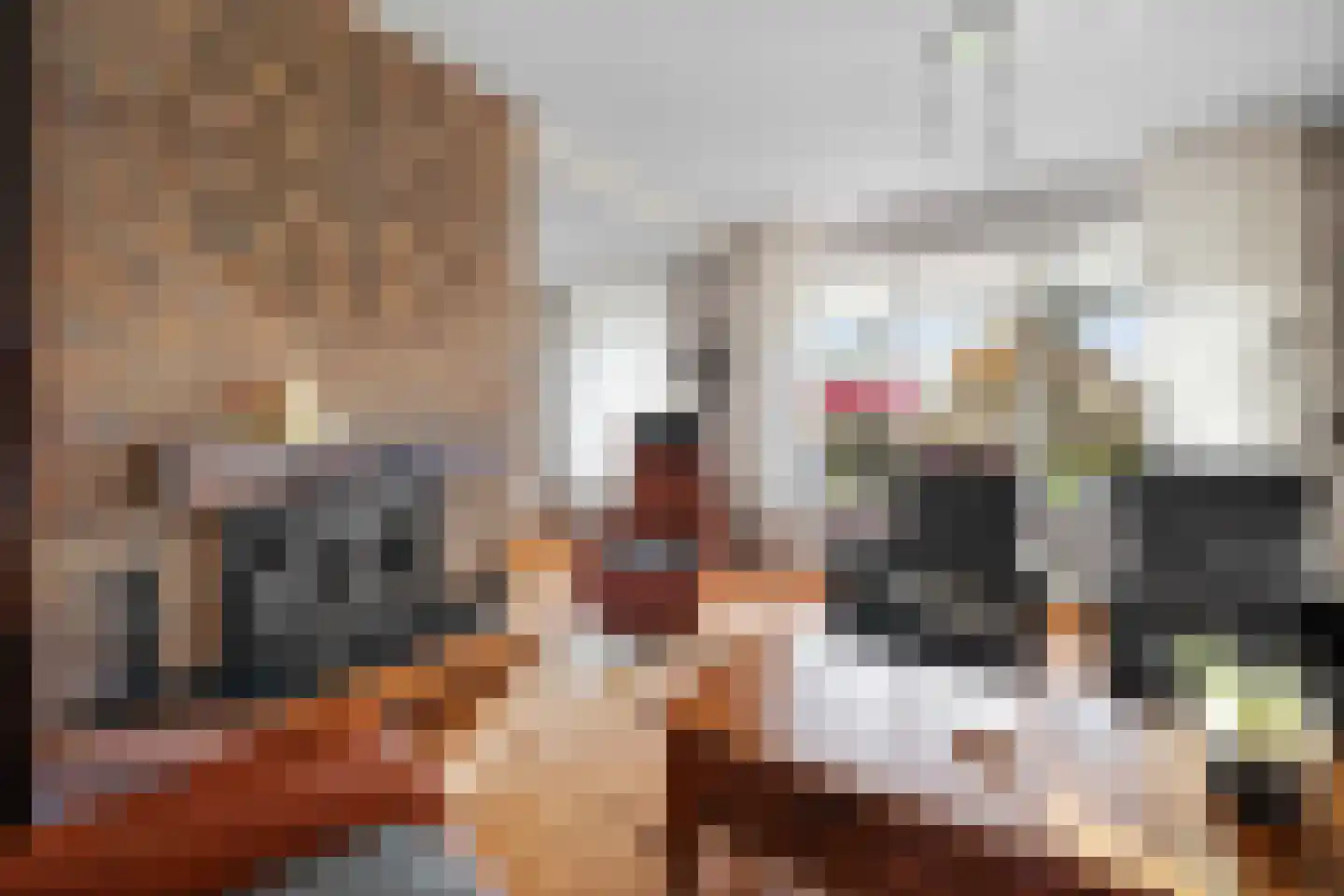 Derksweg 251 Klazienaveen thumbnail 8