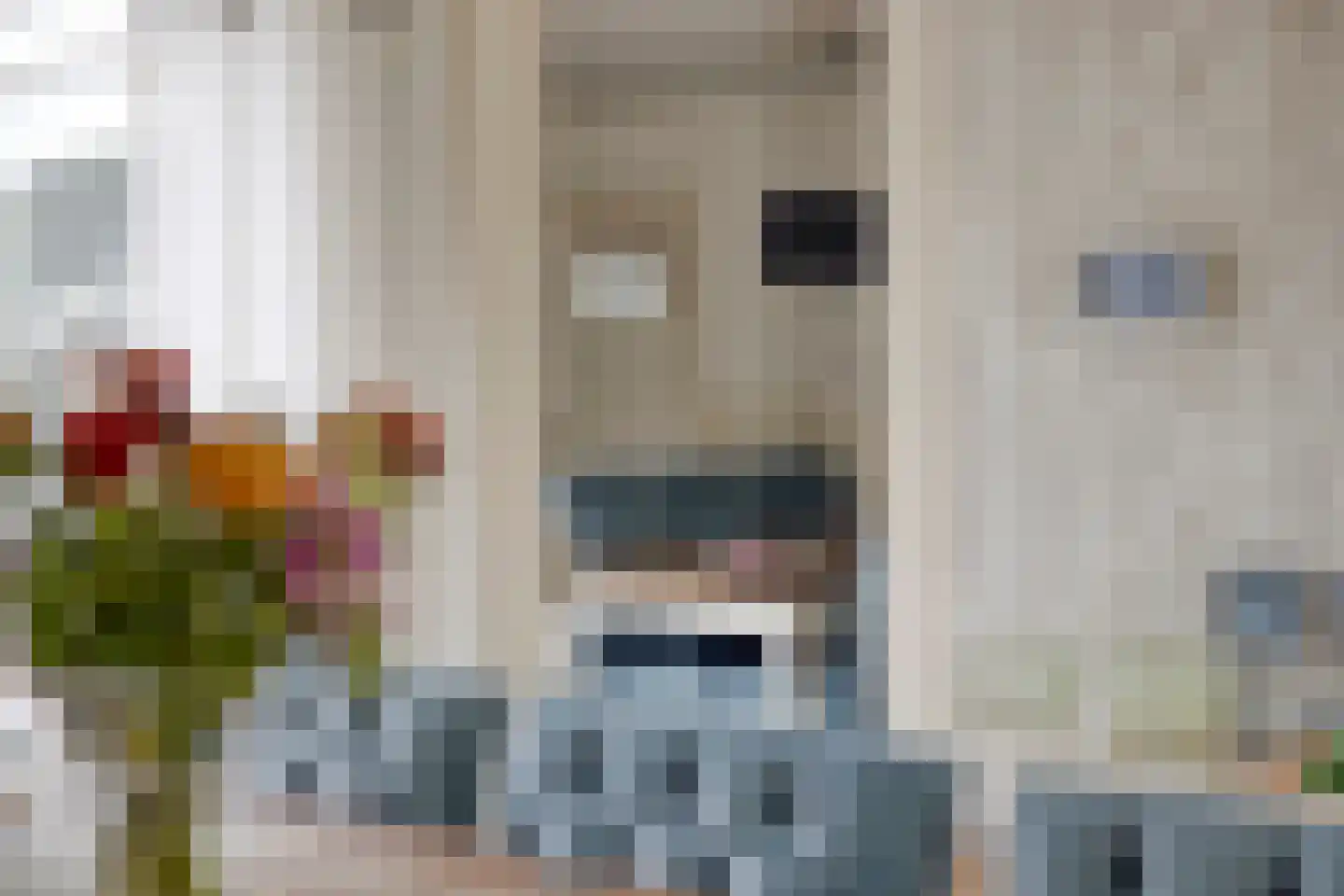 Derksweg 257 Klazienaveen thumbnail 17
