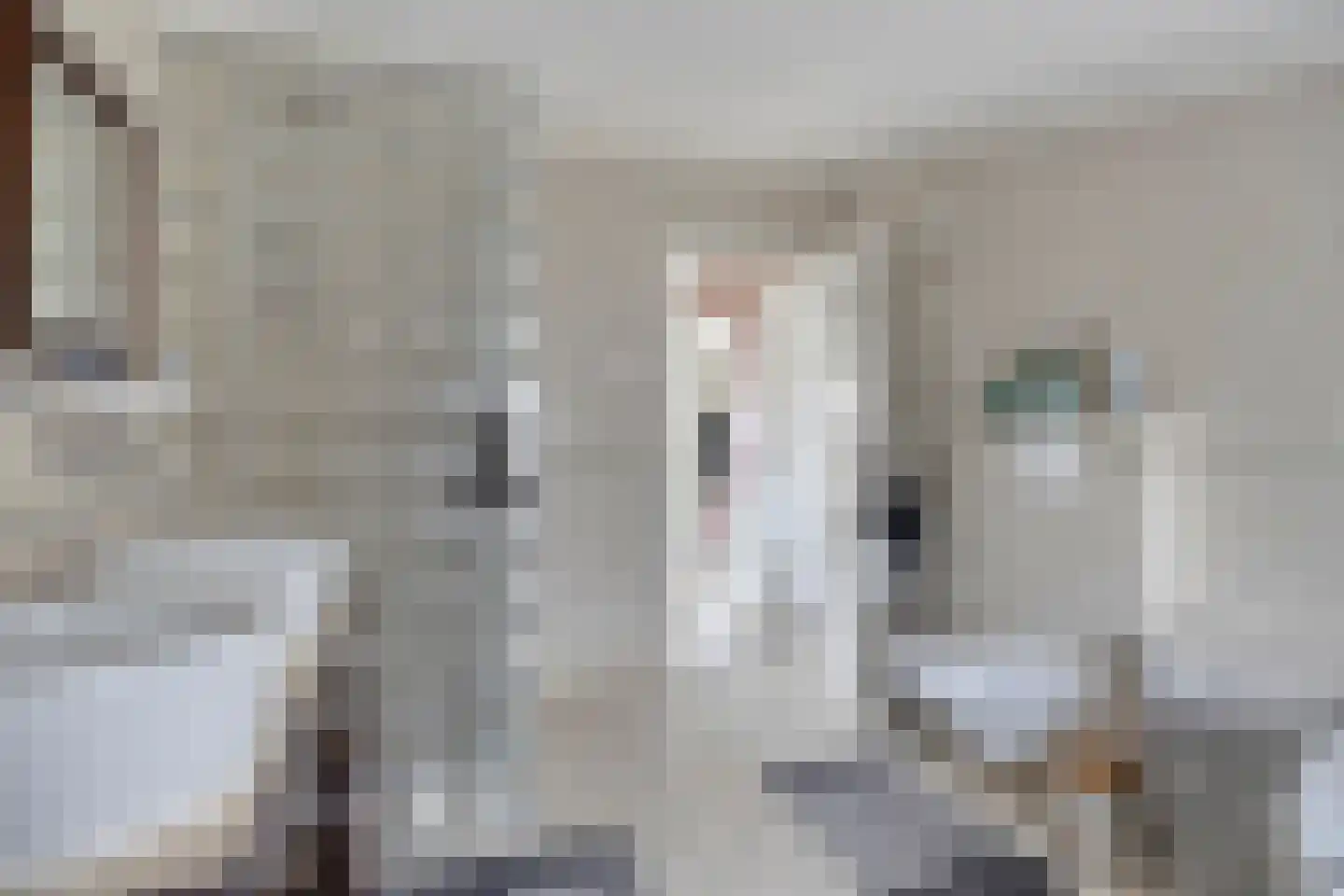Derksweg 257 Klazienaveen thumbnail 32