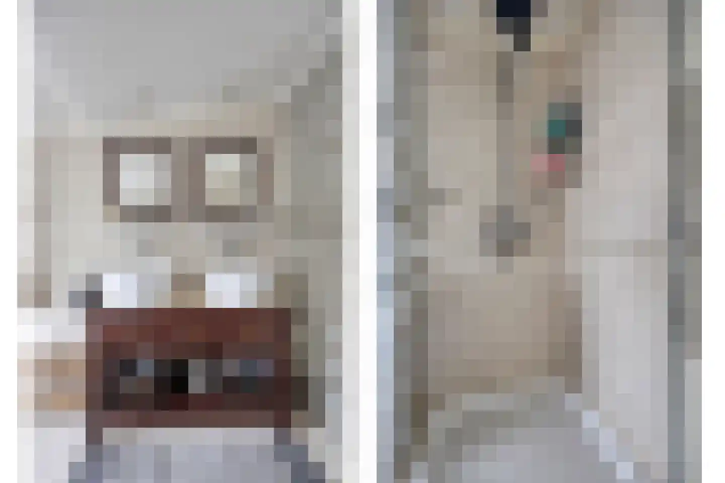 Derksweg 257 Klazienaveen thumbnail 35
