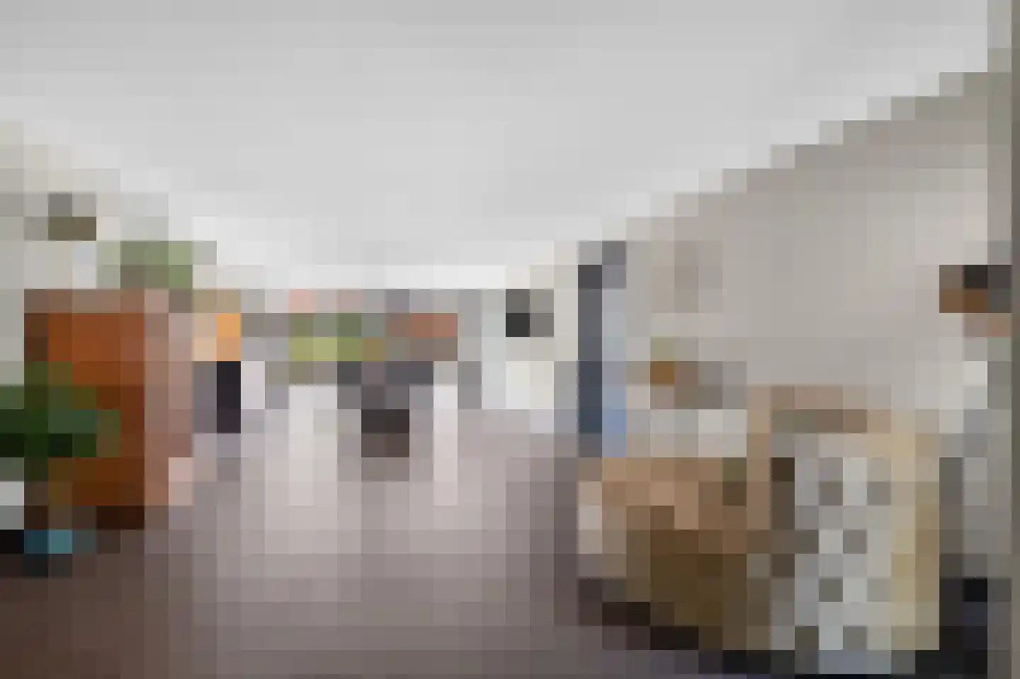 Derksweg 3 Klazienaveen thumbnail 10